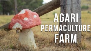Agari Permaculture Farm
