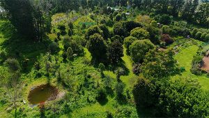 Permaculture food forest from the air