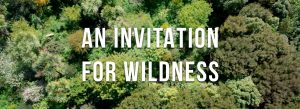Invitation for Wildness