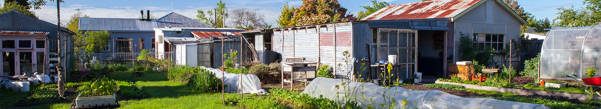 Organic Urban Farming on a 1/2-Acre Property