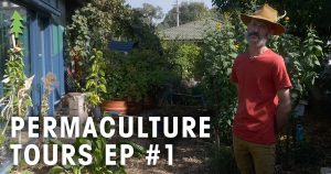 Permaculture Tours Ep 1