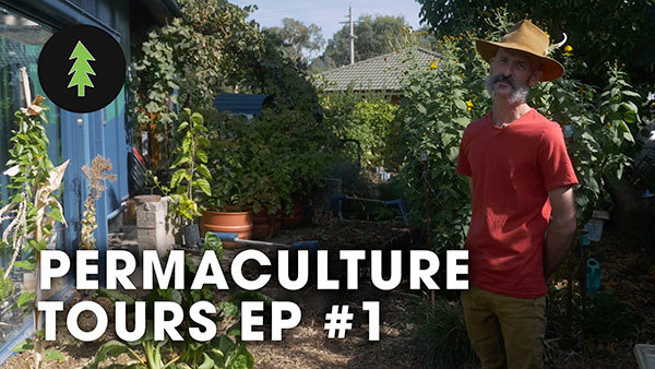 Permaculture Tours episode 1