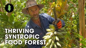 The Food Forest Farmers