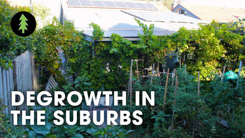 Degrowth in the suburbs thumbnail image showing the green vibrant gardens.